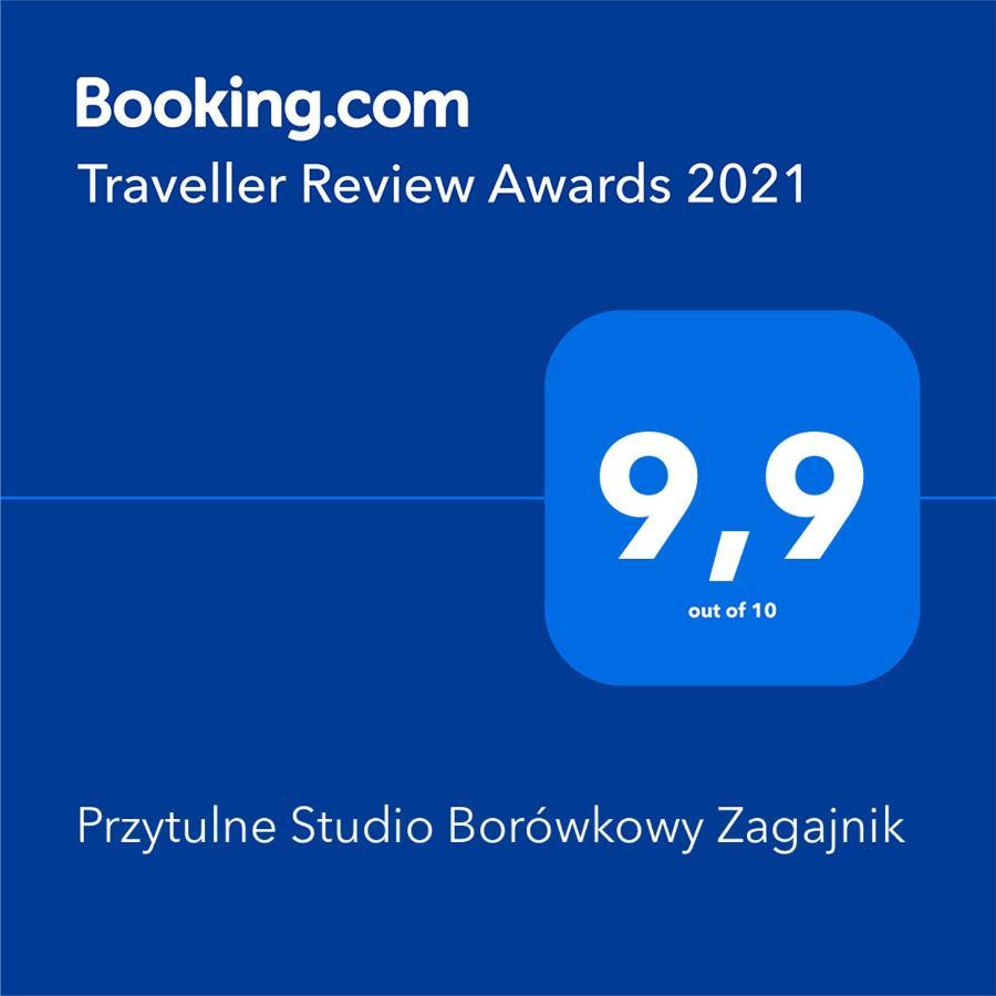 Przytulne Studio Borowkowy Zagajnik Пеховице Экстерьер фото