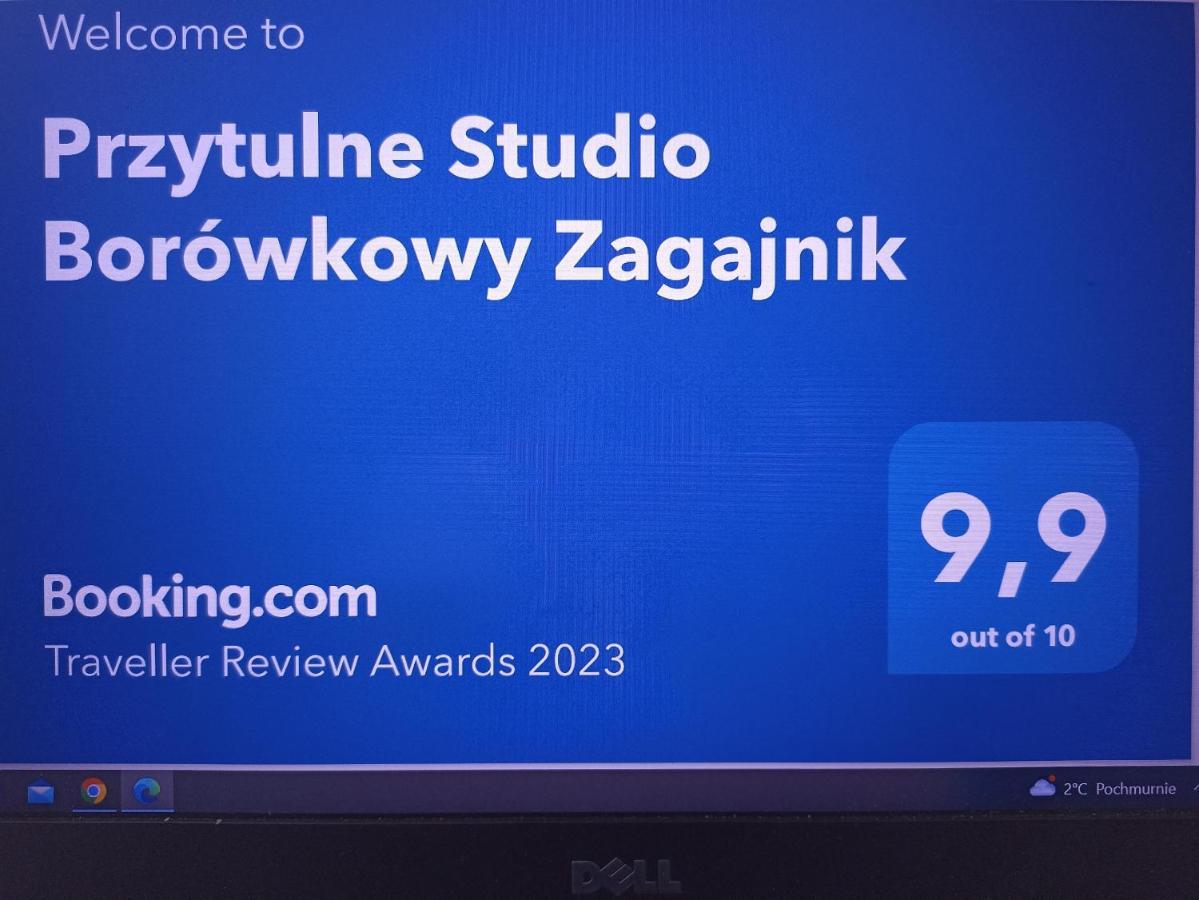 Przytulne Studio Borowkowy Zagajnik Пеховице Экстерьер фото